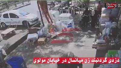 فیلم لحظه سرقت 3 ثانیه گردنبند زن میانسال در خیابان مولوی تهران + گفتگو