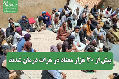 بیش از ۳۰ هزار معتاد در هرات درمان شدند