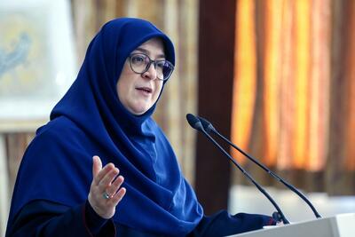 مهاجرانی: با تقویت نهاد‌های قانونی، مسیر توسعه هموارتر می‌شود