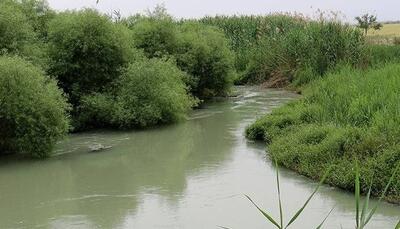 آغاز عملیات اجرایی ساحل‌سازی در حاشیه رودخانه شاوور