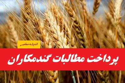 آخرین اخبار پرداخت پول گندمکاران 1404| پرداخت ۴۴ درصد مطالبات گندم‌کاران تا تیر ۱۴۰۴ + قیمت جدید خرید تضمینی گندم(15 مرداد 1404)
