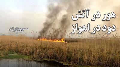 هور در آتش ، دود در اهواز / فاجعه زیست محیطی  که با هزار هواپیمای آب‌پاش هم درست نمی‌شود / حق‌آبه هور در عراق و ایران را بدهید (فیلم)