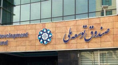 صندوق توسعه ملی در نقش سرمایه‌گذار بزرگ