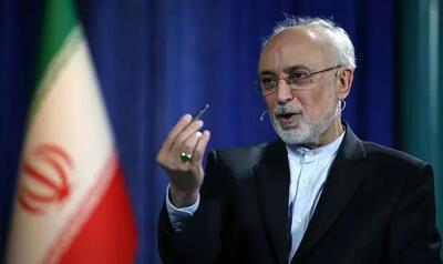 علی اکبر صالحی: ایده ظریف برای کنسرسیوم هسته ای، حرف جدیدی نیست؛ از قبل انقلاب مطرح بود