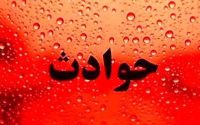 قتل مردی که فرزندانش برای چیدن آلو وارد باغ شدند