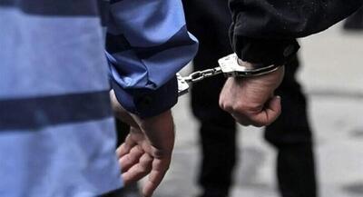 سارقان منزل در تعقیب و گریز پلیسی دستگیر شدند | جهان نیوز