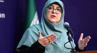 سخنگوی دولت: اگر لایحه حجاب ابلاغ می‌شد این انسجام شکل نمی‌گرفت! آقای ظریف یک انسان دلسوز و سرباز نظام است آقای روحانی را بسیار با تدبیر می‌دانم | جهان نیوز
