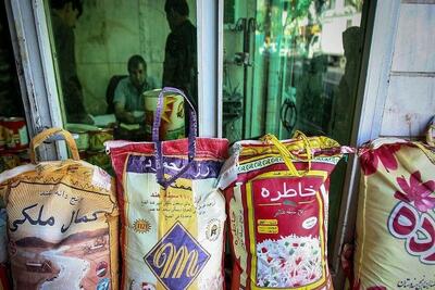 قیمت رسمی برنج هندی و پاکستانی اعلام شد