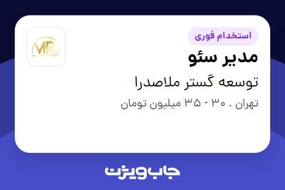استخدام مدیر سئو در توسعه گستر ملاصدرا