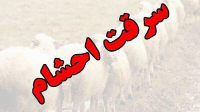 سرقت ناکام دیگر از روستای کریم آباد رامشیر