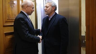 اعلام آمادگی مجلس شورای اسلامی برای همکاری با شورای عالی امنیت ملی