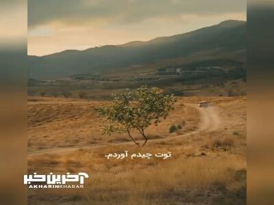 «طعم گیلاس»؛ نخل طلای سینمای ایران