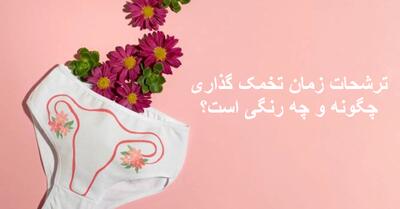 ترشحات زمان تخمک گذاری چگونه است؟ ترشحات تخمک گذاری چه رنگی و چند روز است؟