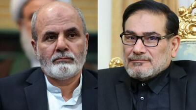 علی اکبر احمدیان و علی شمخانی، به عنوان نمایندگان رهبری در شورای دفاع منصوب شدند
