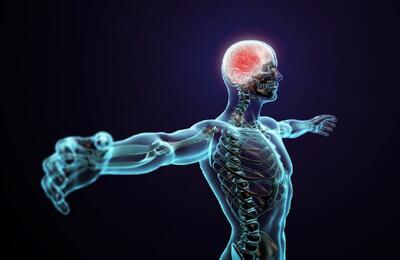 قیمت مواد تشکیل دهنده بدن انسان چقدر است؟ / خیلی ارزان، خیلی گران