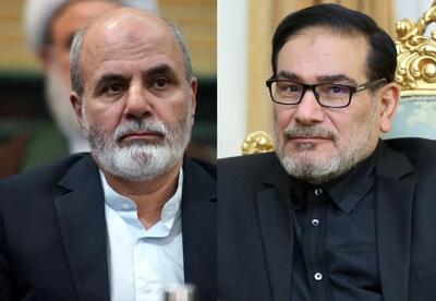 علی‌اکبر احمدیان و علی شمخانی، به عنوان نمایندگان رهبری در شورای دفاع منصوب شدند