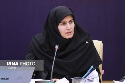 تأخیر در تأمین ارز، مانع اصلی پیشرفت پروژه‌های خورشیدی است