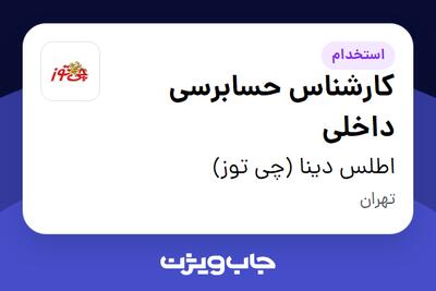 استخدام کارشناس حسابرسی داخلی - آقا در اطلس دینا (چی توز)