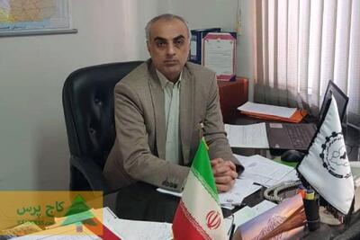 افزایش قیمت نهاده‌های دامی بر بازار گوشت چه اثری دارد؟