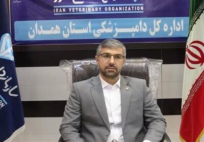 نظارت 38 اکیپ دامپزشکی همدان بر موکب‌های اربعین - تسنیم