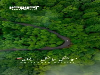 مسیر جنگلی سیاهکل به دیلمان