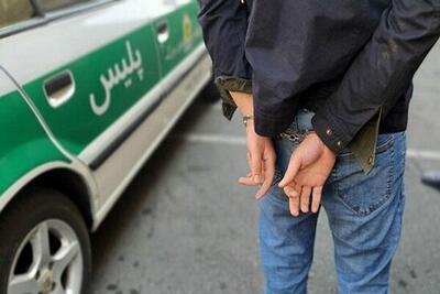 دستگیری ۴ شرور با شلیک پلیس