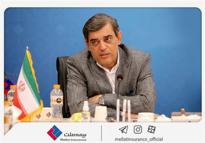 پیام تبریک محمدرضا فرهادی‌پور، سرپرست شرکت بیمه ملت، به مناسبت روز خبرنگار - تسنیم
