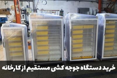 خرید دستگاه جوجه کشی دماوند مستقیم از کارخانه