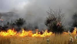 حریق در حدود ۱۰ هکتار از مراتع گردنه گوشنگلی بروجن