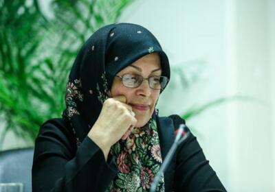 رییس جبهه اصلاحات ایران : امنیت، اگر بر پایه انسجام ملی نباشد، سراب است