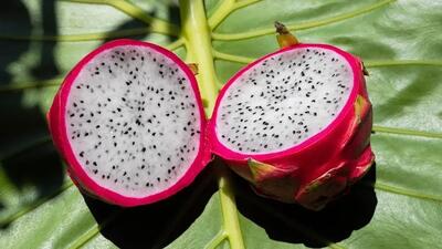 طرز تهیه مربای دراگون فروت به سبک سنتی هندی (فیلم)