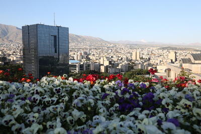 داستان اسکناس‌ها