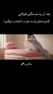 تخت خواب