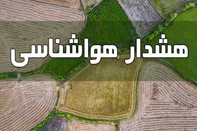 هشدار هواشناسی به کشاورزان: خطر گرمازدگی محصولات