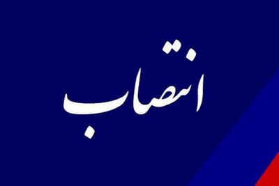 حجت‌الاسلام والمسلمین مهدی هادی معاون حقوقی قوه قضائیه شد