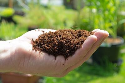 لزوم مصرف بهینه کود برای ارتقای بهره‌وری آب و امنیت غذایی در گلستان