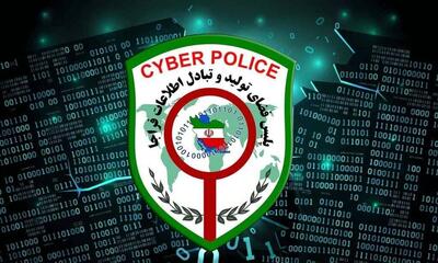 هشدار پلیس فتا البرز در آستانه اربعین| کاربران مراقب تبلیغات نذورات باشند