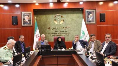 انصاری: تحقق مشارکت واقعی برای حفظ محیط‌زیست هدف اصلی ما است