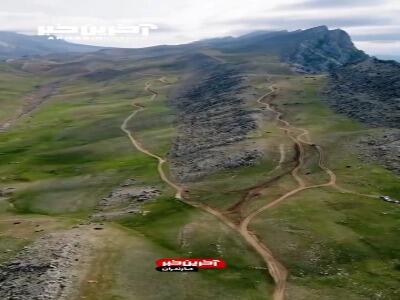 منظره دیدنی مرز بین بیابان و جنگل