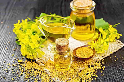 عبور خرید تضمینی کلزا از ۲۵۰ هزار تن