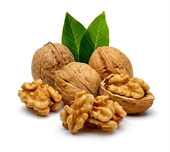بعد از خوردن گردو این خواص نصیب بدن تان می شود
