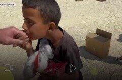 کهنه سرباز آمریکایی:‌ امیر دست مرا بوسید اما در راه بازگشت به ضرب گلوله کشته شد + ویدئو