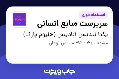 استخدام سرپرست منابع انسانی - خانم در یکتا تندیس آبادیس (هلیوم پارک)