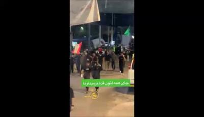 سفر روحانی ژیلا صادقی به کربلا؛ اشتیاق و عشق به سیدالشهدا(ع)