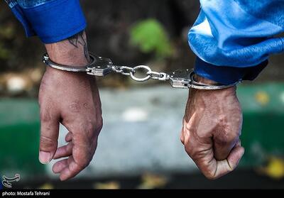رمزگشایی 68 فقره زورگیری و قاپ‌زنی در مشهد - تسنیم