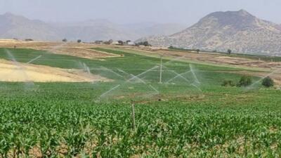 اتمام عملیات تکمیلی جنوب دریاچه زریبار مریوان