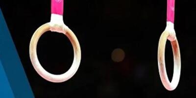 جزئیات جدید بازداشت دبیر اسبق فدراسیون ژیمناستیک