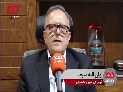 رئیس کل اسبق بانک مرکزی: برخی بانک‌های خصوصی دست کمی از موسسات غیرمجاز ندارند