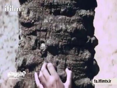 فیلم‌نمای فیلم سینمایی «مریم مقدس»