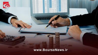 درخشش در سودآوری، تنوع پرتفوی و رشد ارزش بازار